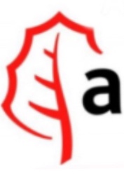 Avatar de Adrian Rodriguez
