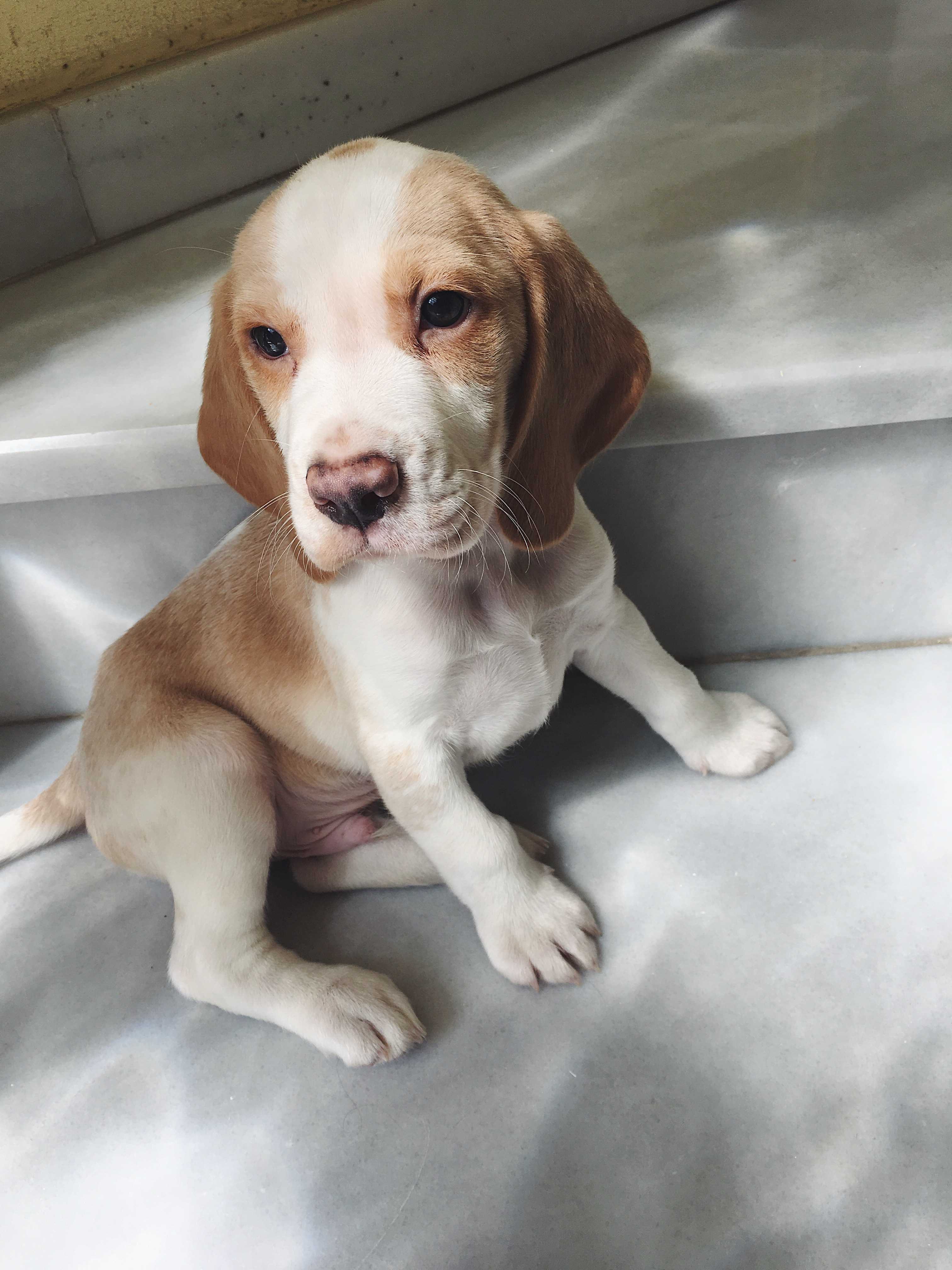 Avatar de Blanca Charneco