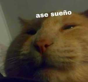 Avatar de chema