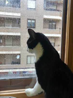 Avatar de Pablo Rico