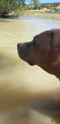 Avatar de Beatriz Marin