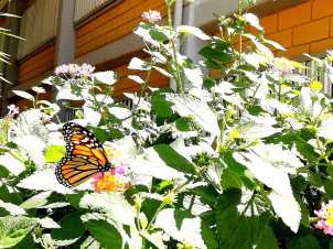 Avatar de Eowyn Saray Delgado Jiménez