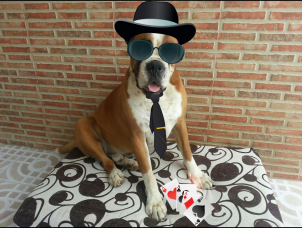 Avatar de Álvaro López