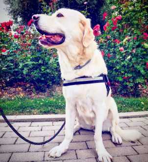 Avatar de Sheila Ramos