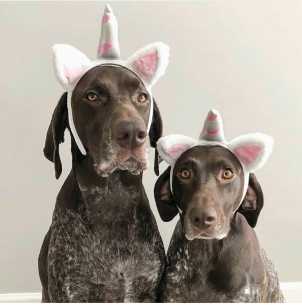 Avatar de MUSICTVerrd