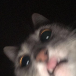 Avatar de Alejandro Quintero