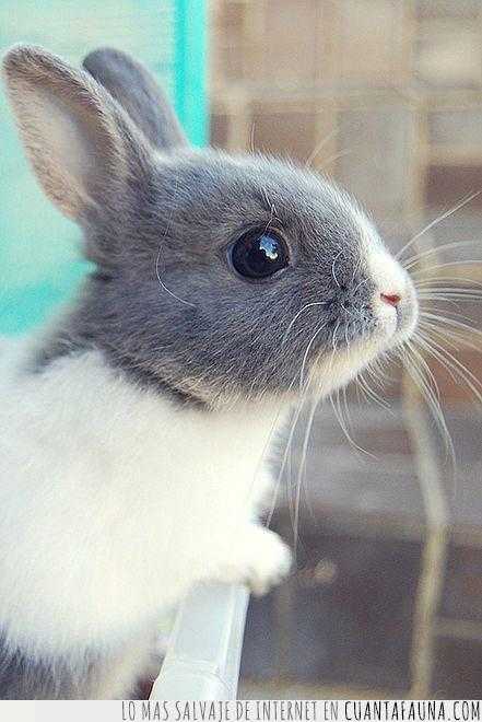 Avatar de Nuria c