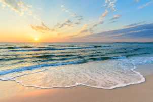 Avatar de Jose Alcazar carrasco