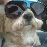 Avatar de Ne Musaqui