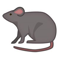 Avatar de Juanjo Martínez García