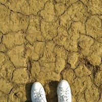 Avatar de Dani Sánchez