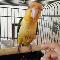 Avatar de Juan Rodríguez Martínez