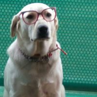 Avatar de Jose Luis Garcia Muñoz