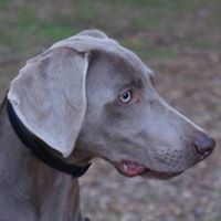 Avatar de JanXux CañyCia