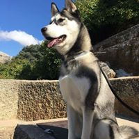 Avatar de Raulito Palma