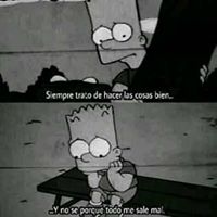 Avatar de Janer Meriño Navarro