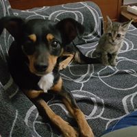 Avatar de Conchi Martín