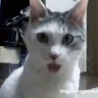 Avatar de Juan Paldo