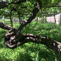 Avatar de Fermin Lopez