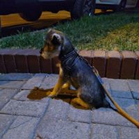 Avatar de Felipe Villegas