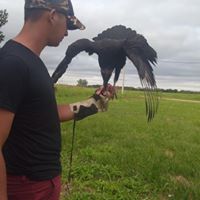 Avatar de Juan Monserrat