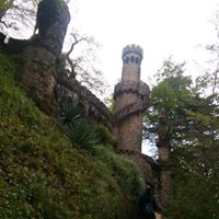 Avatar de Lorena Sahagún Flores