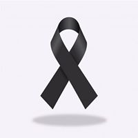 Avatar de Adrian Cámara Martinez