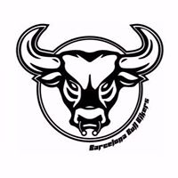 Avatar de BBull Bikers