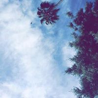 Avatar de Omaima Bounnaanaa