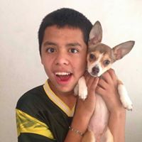 Avatar de Brayan Cruz González Lara