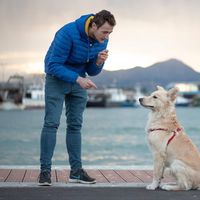 Avatar de Gerard Mendez Mas