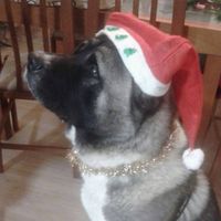 Avatar de Myriam MDefez