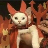 Avatar de Noemí Lastra León