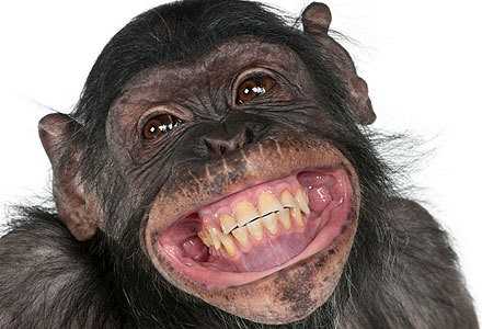 Avatar de Miguel Angel C 